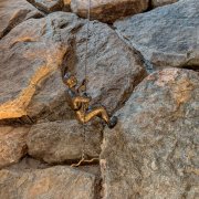 Bronze Rock Climber